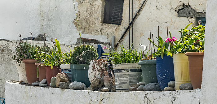 Ano Rodakino (Aνω Ρoδάκινo) Provinz Agios Vasilios