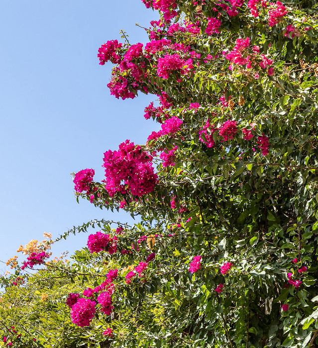 Moni Agia Triada Akrotiri