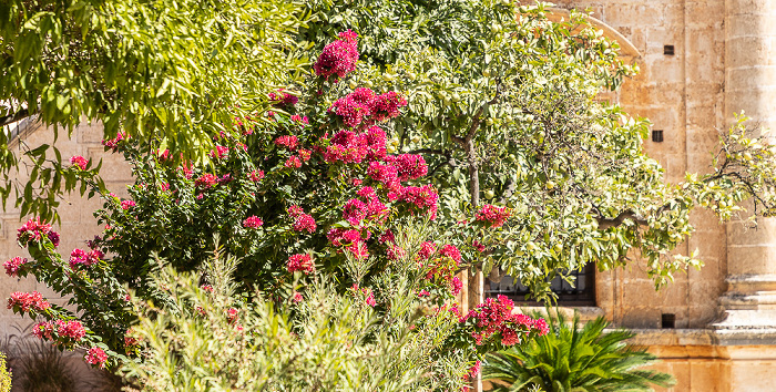 Moni Agia Triada Akrotiri
