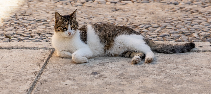 Moni Agia Triada Akrotiri