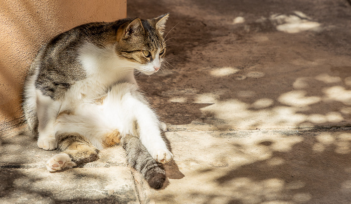 Moni Agia Triada Akrotiri
