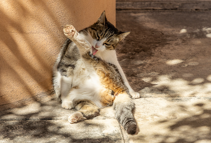 Moni Agia Triada Akrotiri