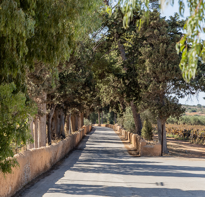 Moni Agia Triada Akrotiri
