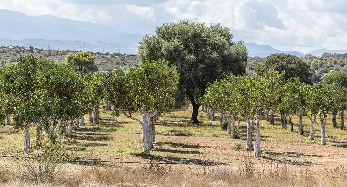 Moni Agia Triada Akrotiri