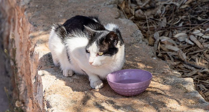 Moni Agia Triada Akrotiri