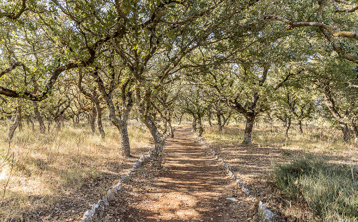 Nekropole Armeni (Νεκρόπολη Αρμένων, Spätminoischer Friedhof) Armeni