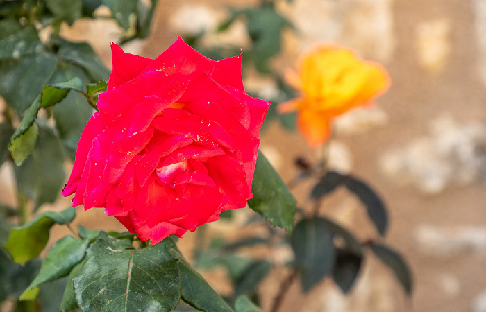 Kloster Arkadi Arkadi