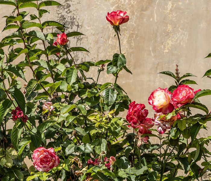 Kloster Arkadi Arkadi