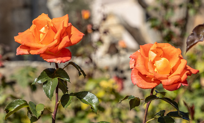 Kloster Arkadi Arkadi