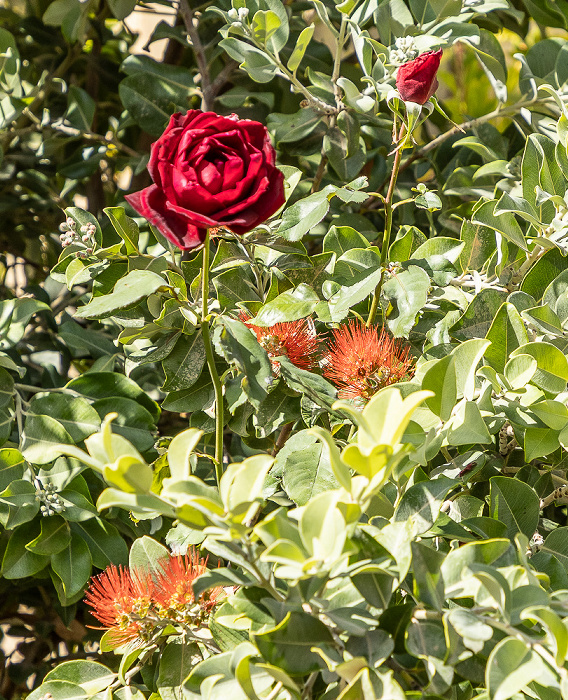 Kloster Arkadi Arkadi