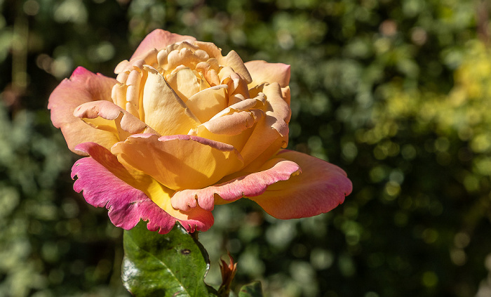 Kloster Arkadi Arkadi