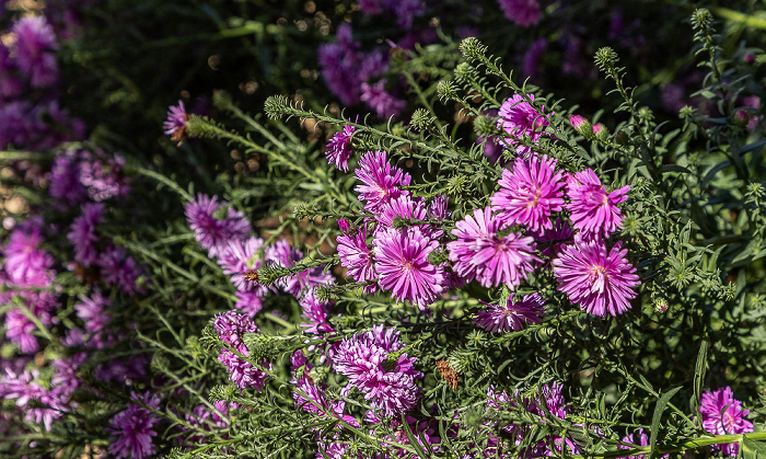 Kloster Arkadi Arkadi