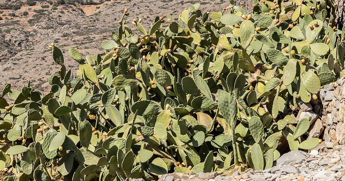 Spinalonga