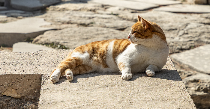 Palast von Knossos Heraklion