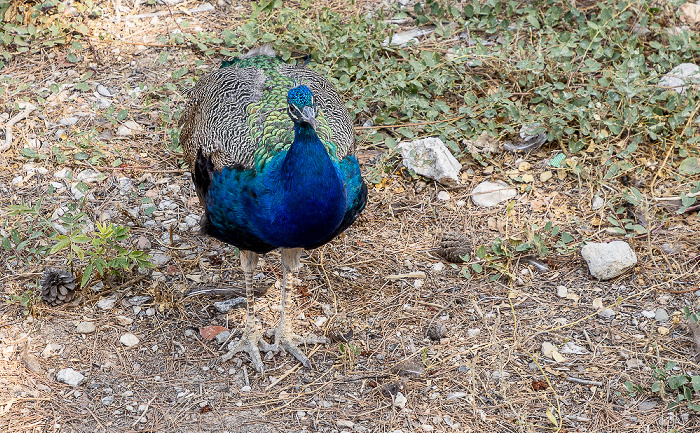 Palast von Knossos Heraklion