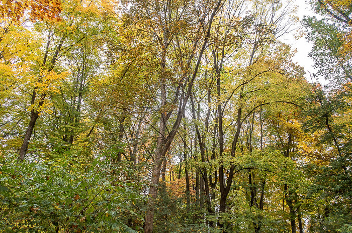 Dichtergarten München