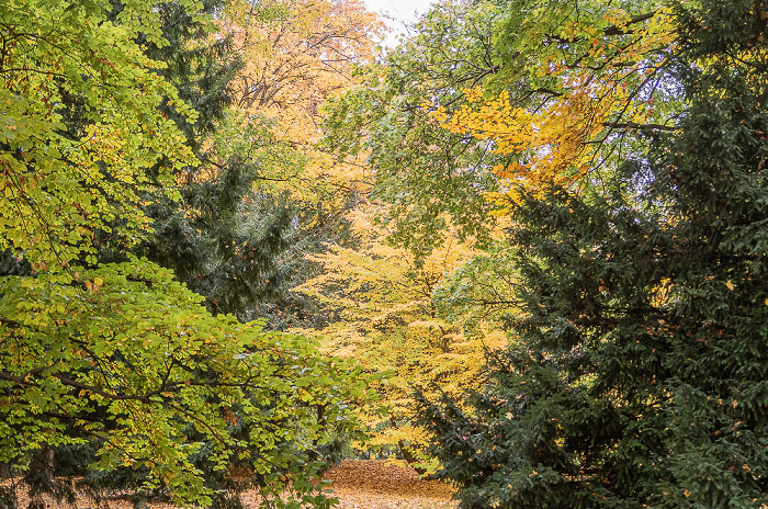 Dichtergarten München