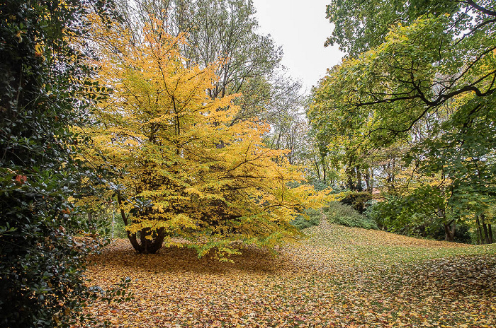 Dichtergarten München