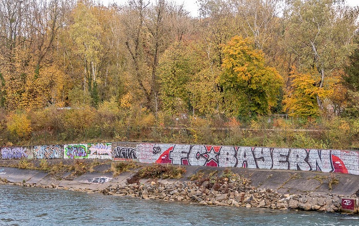 Blick vom Stauwehr Oberföhring: Isar, Isarinsel Oberföhring München