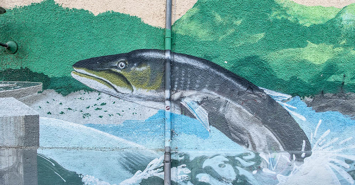 Stauwehr Oberföhring: Street Art München