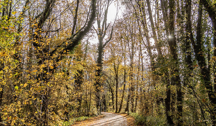 Isarinsel Oberföhring München