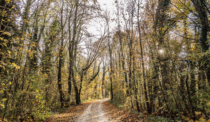 Isarinsel Oberföhring München