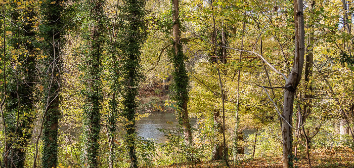 Isarinsel Oberföhring, Isar München