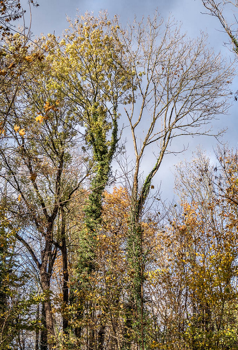 Isarinsel Oberföhring München