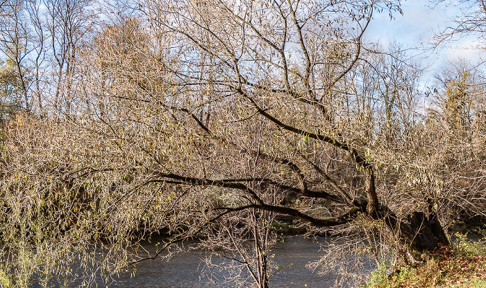 Isarinsel Oberföhring, Isar München