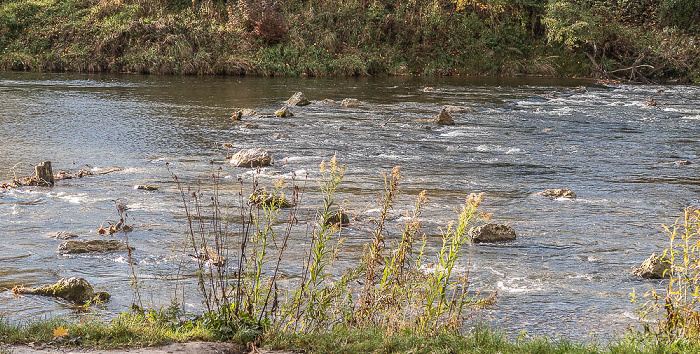 Isarinsel Oberföhring, Isar München