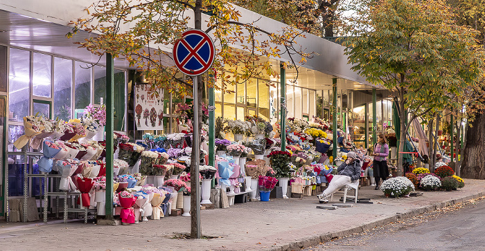 Strada Mitropolit Gavriil Bănulescu-Bodoni Chișinău