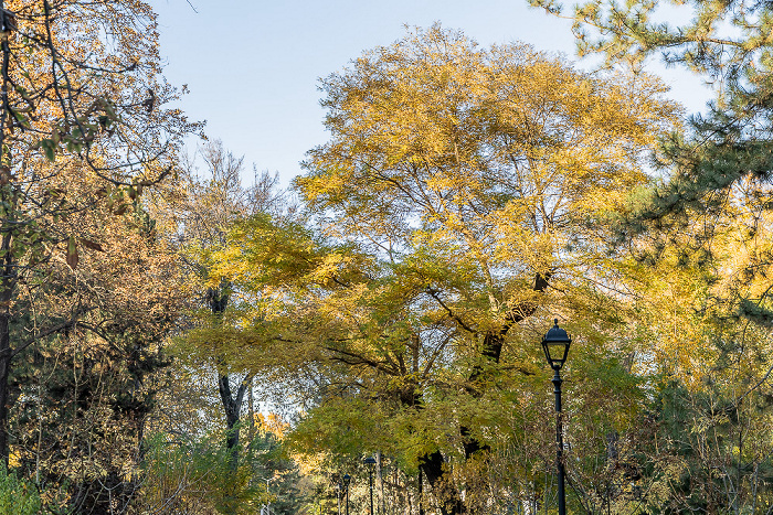 Grădina Catedralei Chișinău