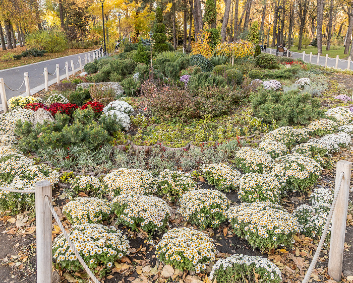 Grădina Catedralei Chișinău