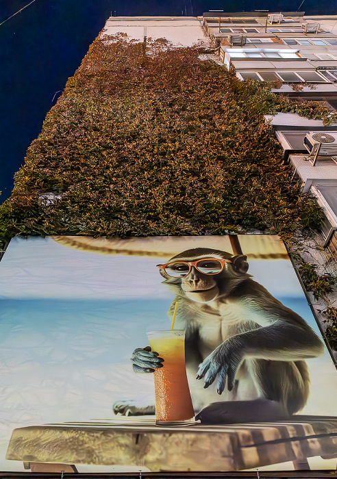 Bulevardul Constantin Negruzzi Chișinău