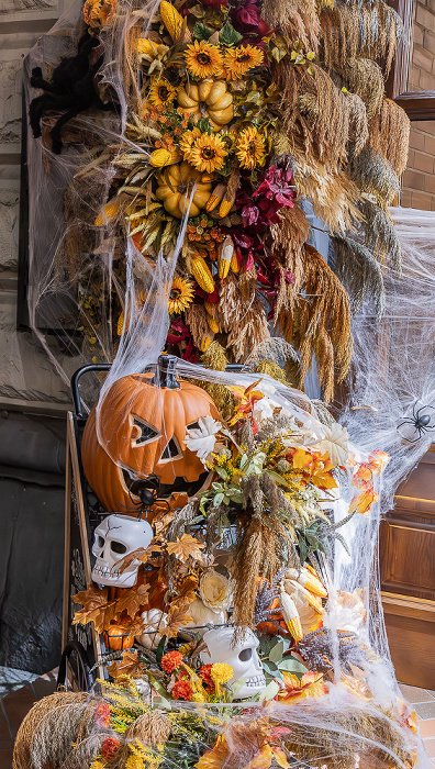 Strada Alexandr Pușkin: Kozlovna Česká Pivní Restaurace Chișinău