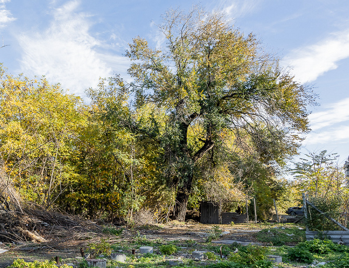 Ruinele Stadionului Republican Chișinău
