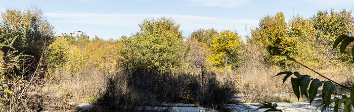 Ruinele Stadionului Republican Chișinău