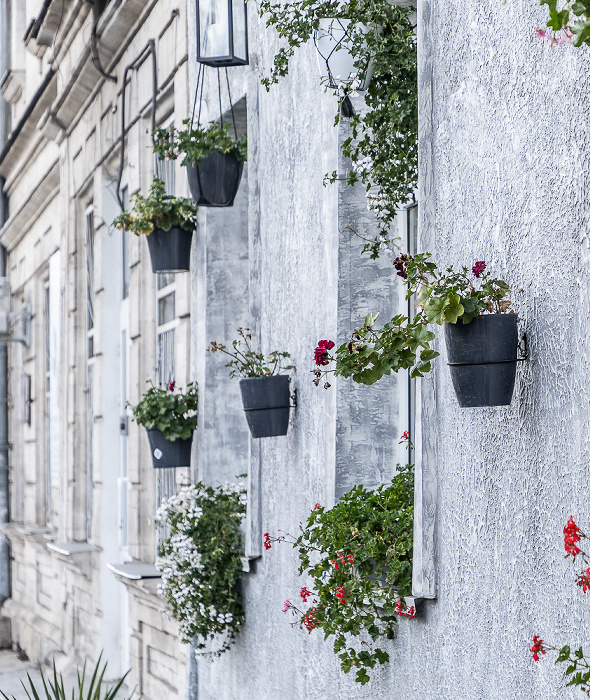 Strada Columna Chișinău