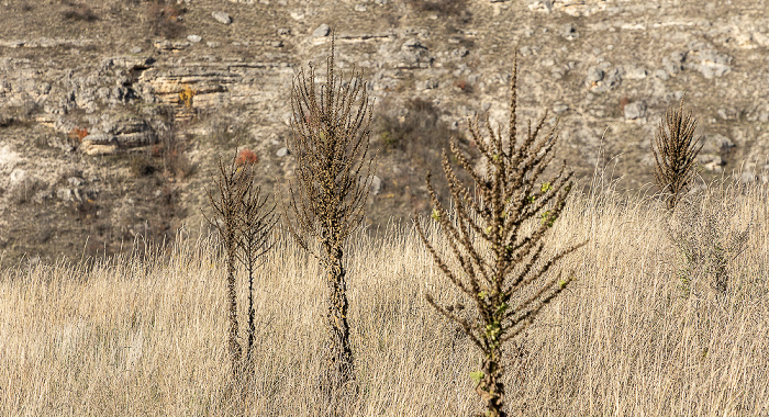 Orheiul Vechi Butuceni