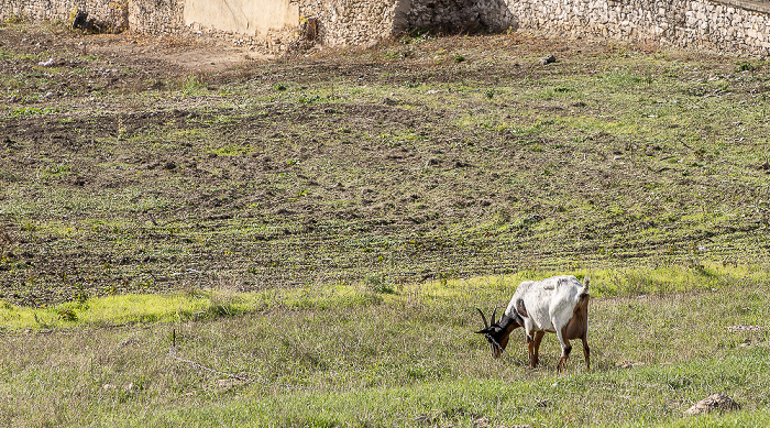 Orheiul Vechi Butuceni