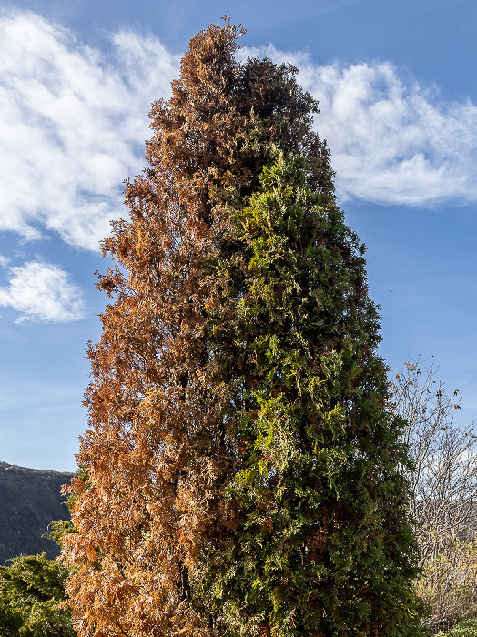 Orheiul Vechi Butuceni