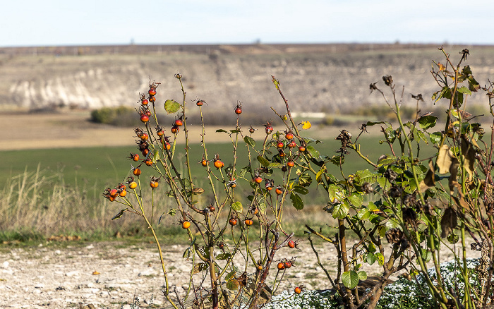 Orheiul Vechi Butuceni