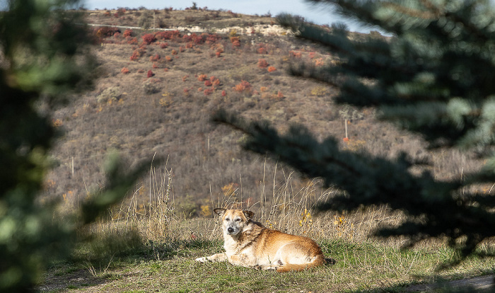 Orheiul Vechi Butuceni