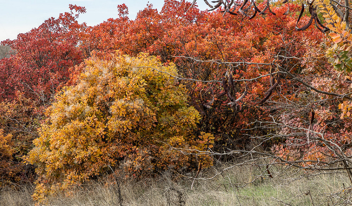 Orheiul Vechi Butuceni