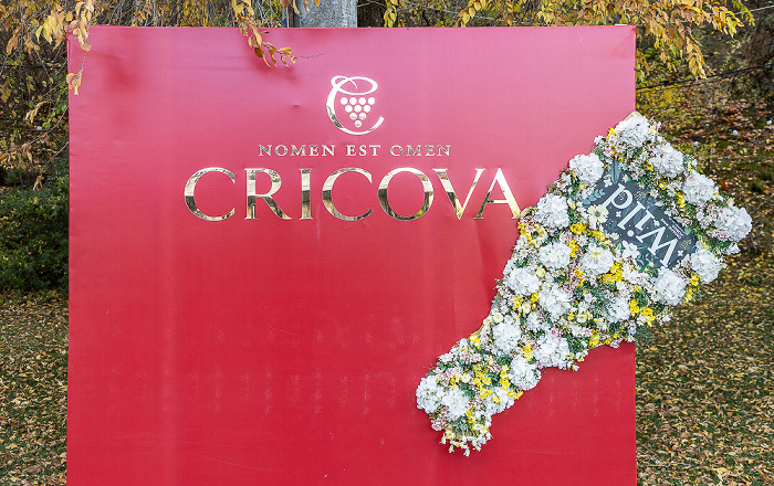 Combinatul de Vinuri Cricova Cricova