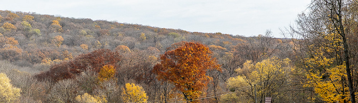Rezervația Științifică Codru Bursuc