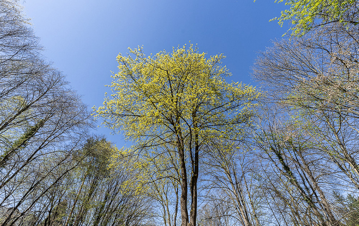Berg am Laim: Parkanlage Waldstraße / Zwieselbergweg München