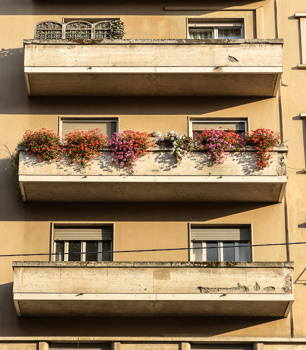 Bologna