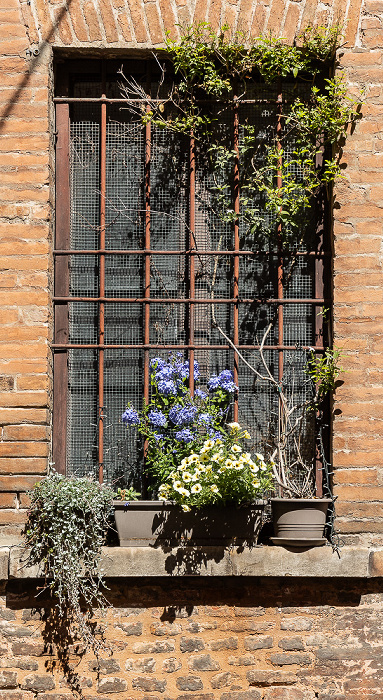Ferrara
