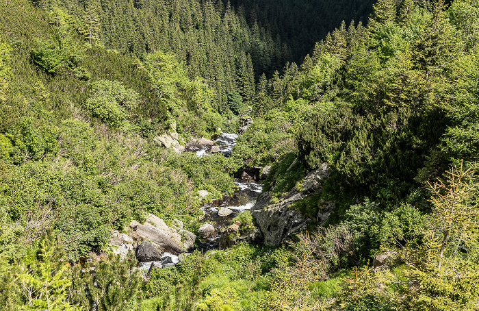Munții Făgăraș (Făgăraș-Gebirge) Bâlea